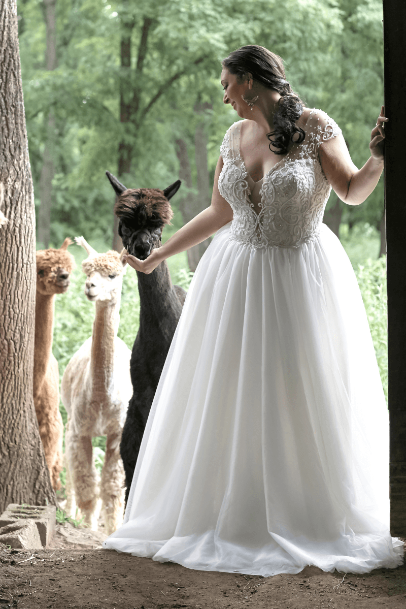 Curve by Impression Bridal